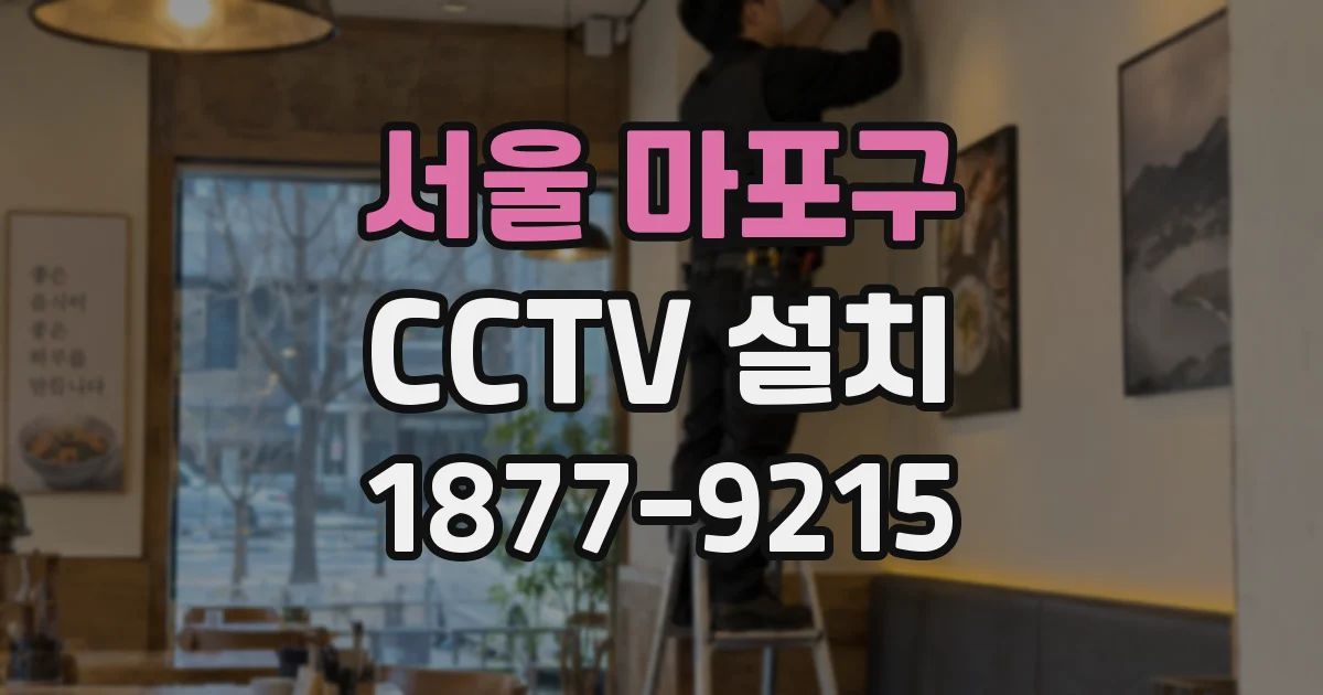 서울 마포구 CCTV 설치
