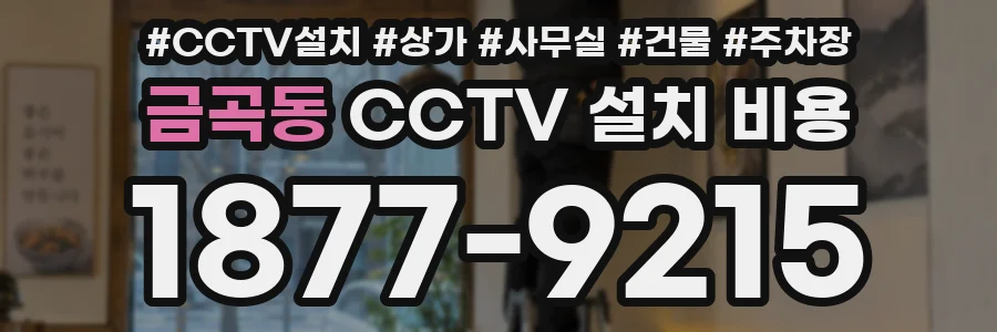 금곡동 CCTV 설치 비용