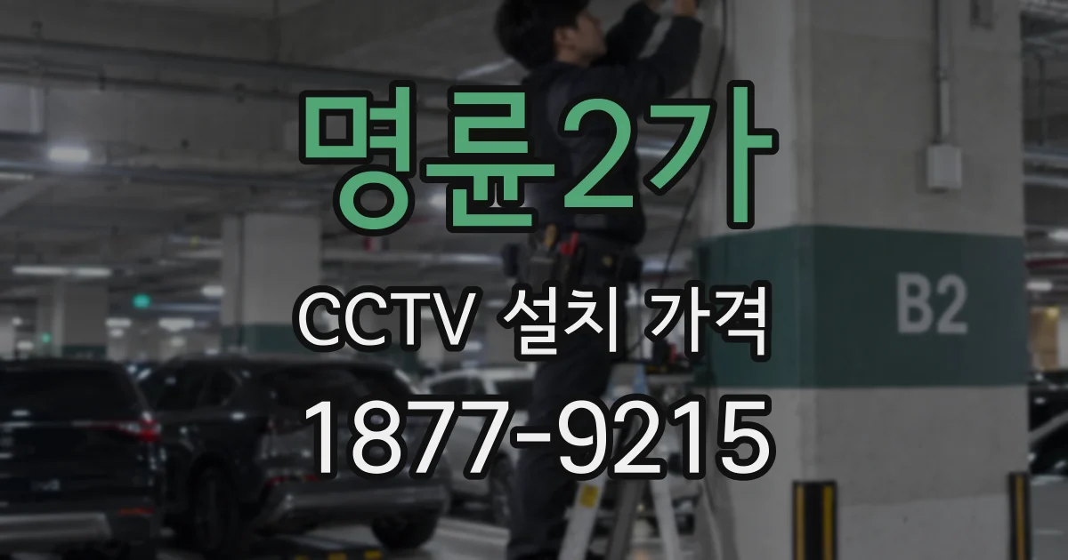 명륜2가 CCTV 설치 가격
