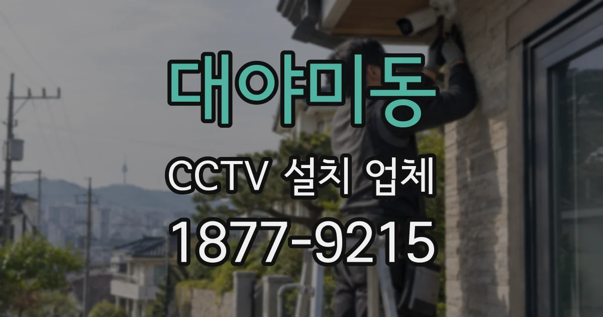 대야미동 CCTV 설치 업체