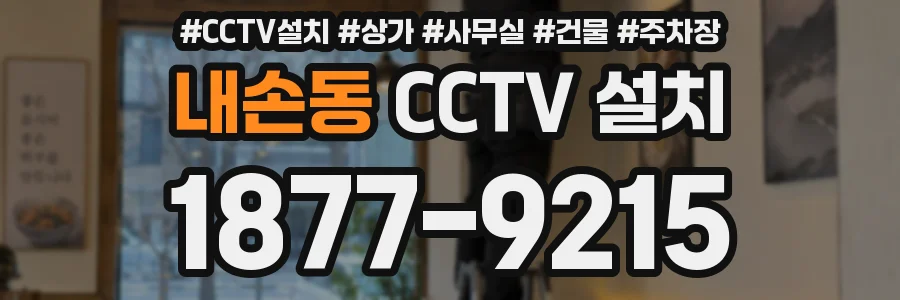 내손동 CCTV 설치
