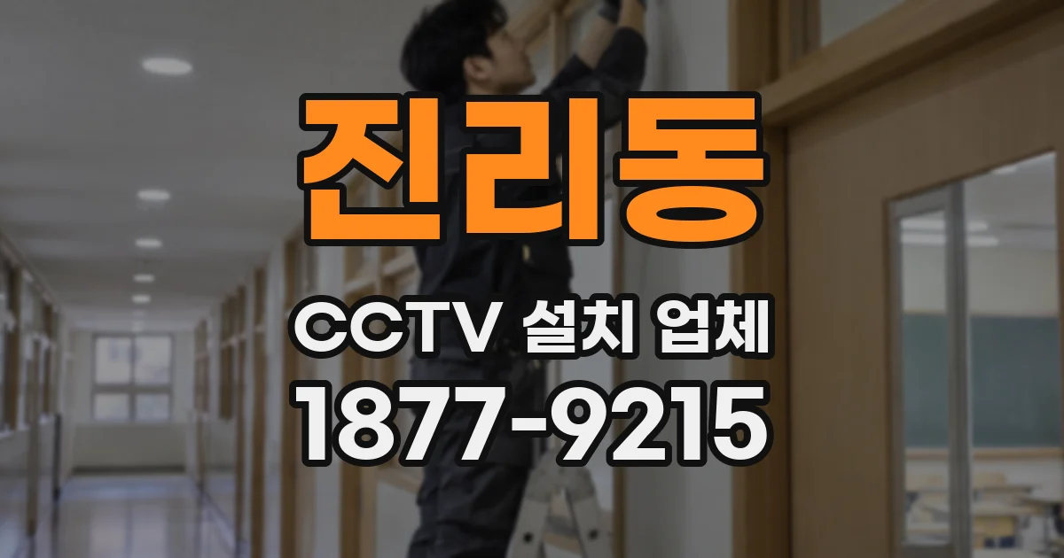 진리동 CCTV 설치 업체