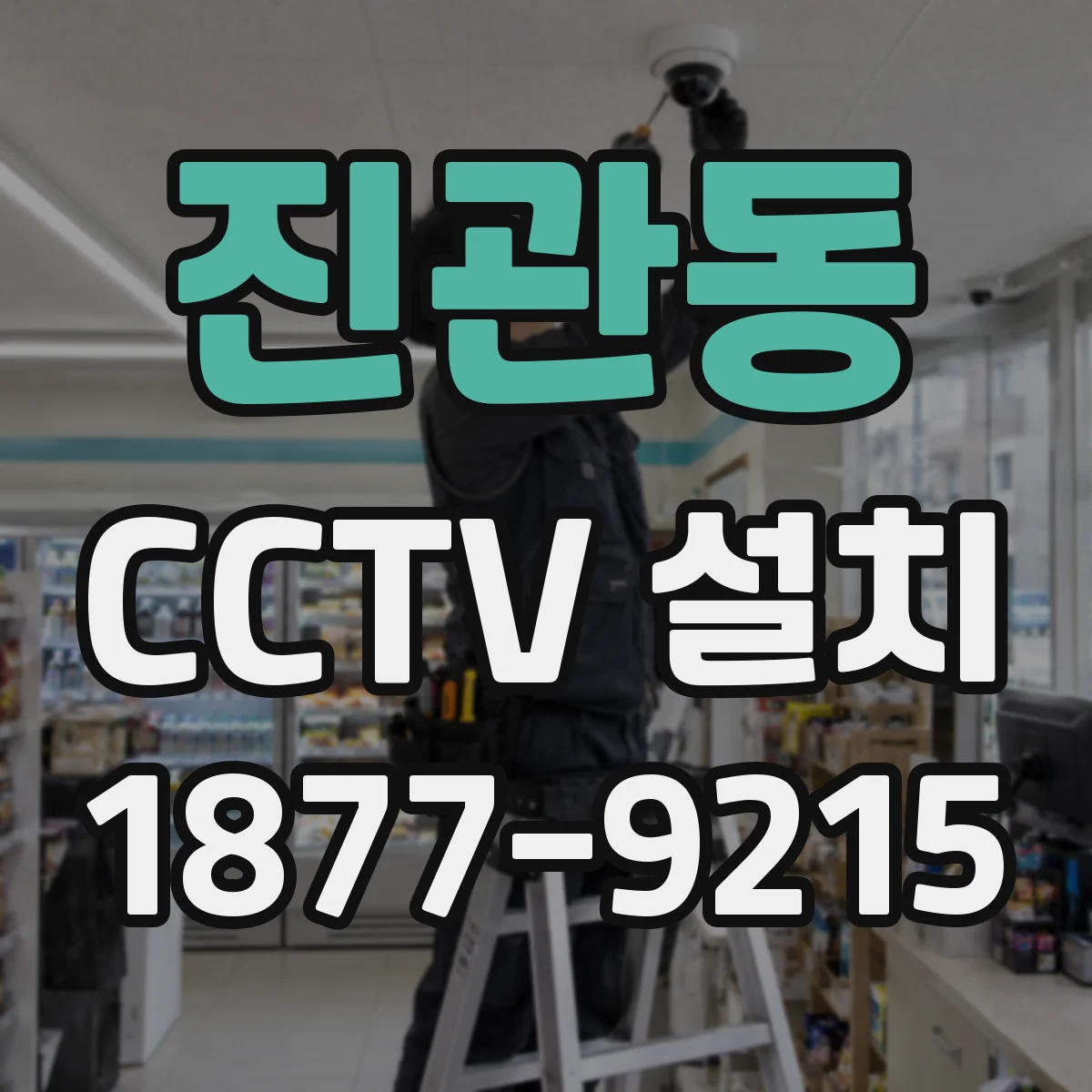 진관동 CCTV 설치