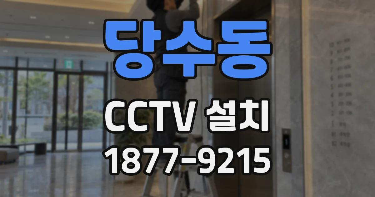 당수동 CCTV 설치