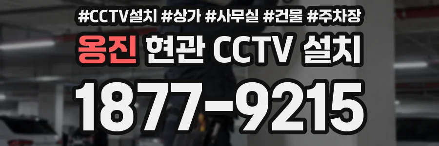 옹진 현관 CCTV 설치
