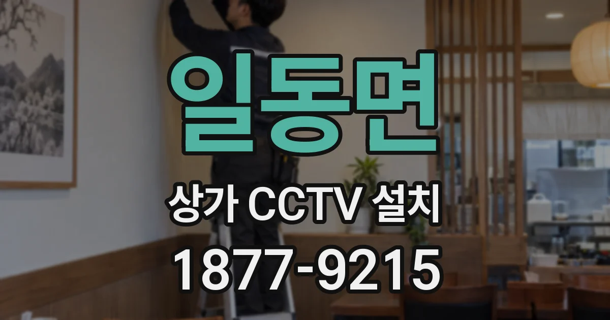 일동면 상가 CCTV 설치