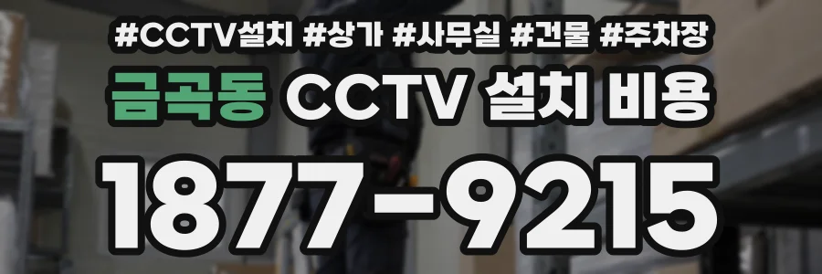 금곡동 CCTV 설치 비용