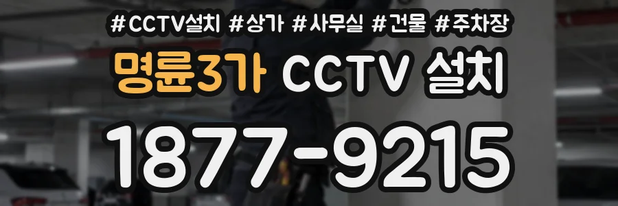 명륜3가 CCTV 설치