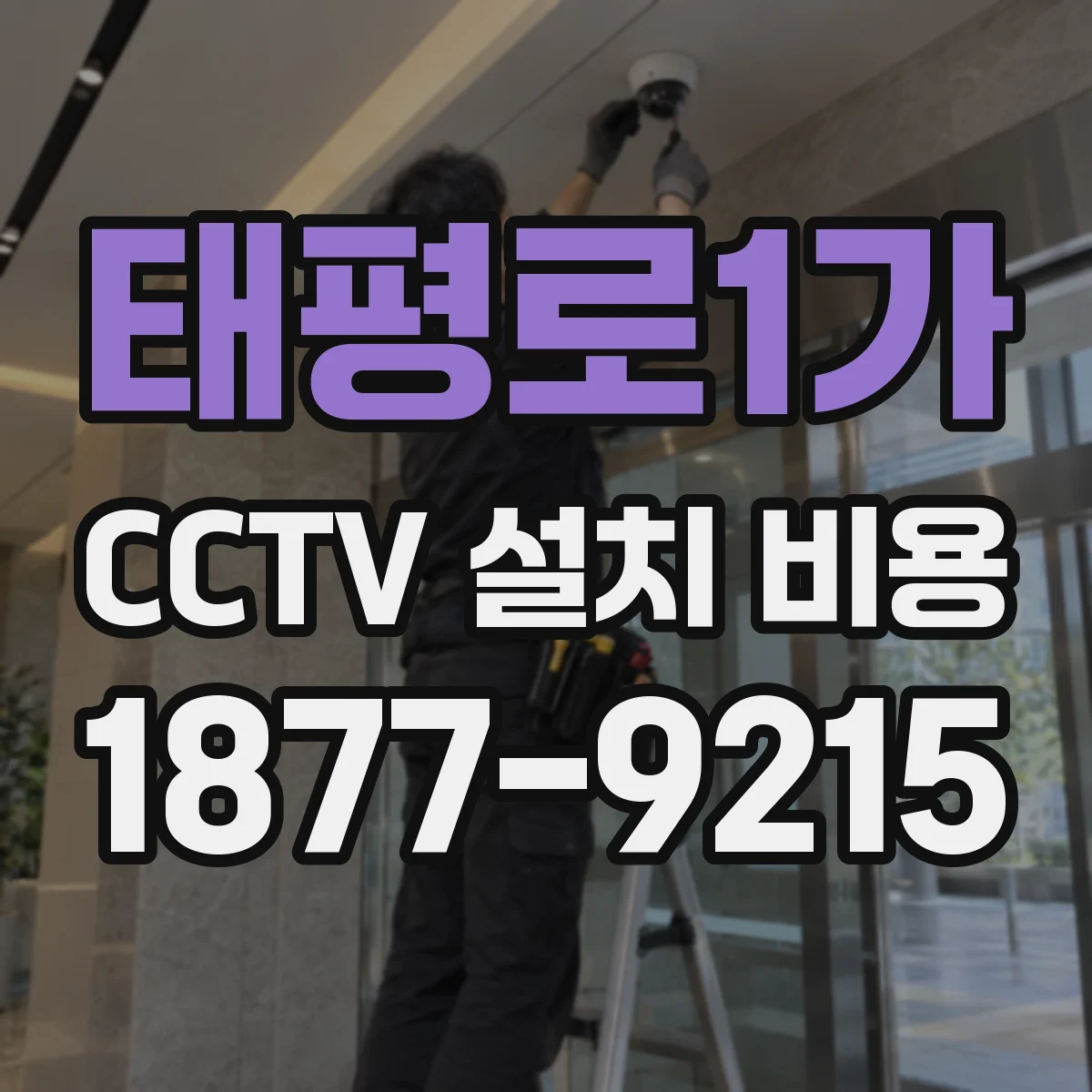 태평로1가 CCTV 설치 비용