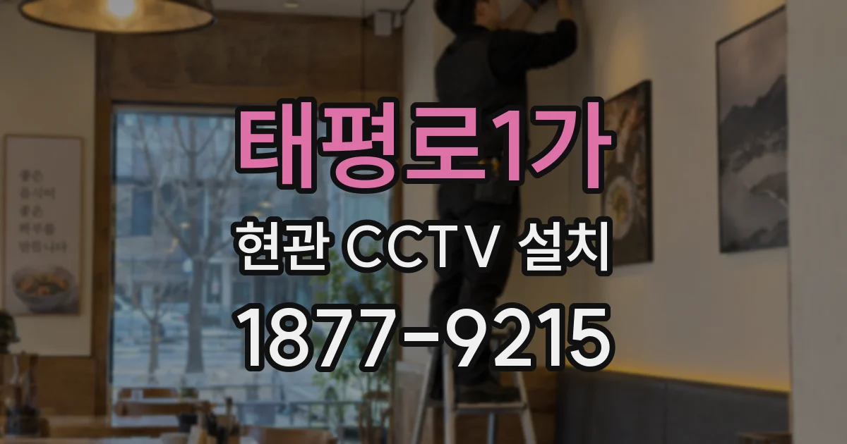 태평로1가 현관 CCTV 설치