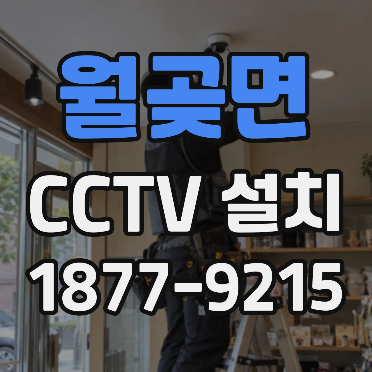 월곶면 CCTV 설치