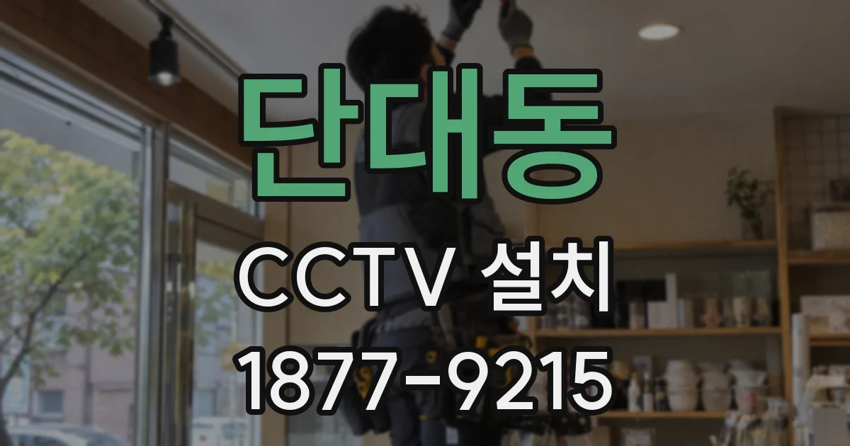 단대동 CCTV 설치