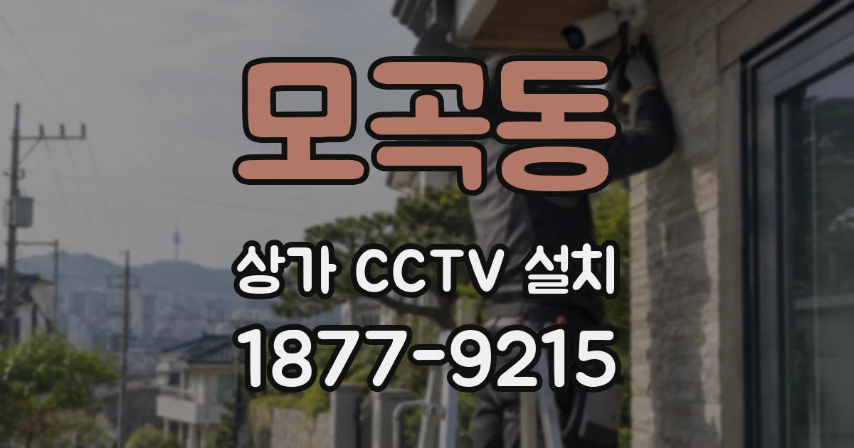 모곡동 상가 CCTV 설치