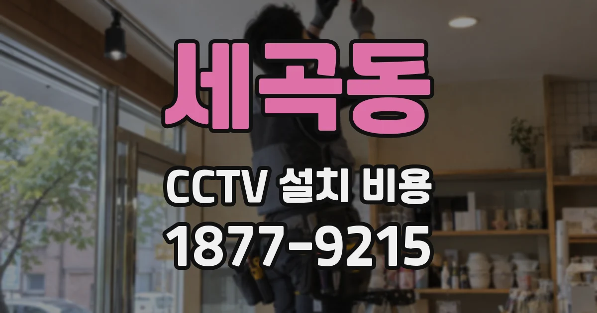세곡동 CCTV 설치 비용
