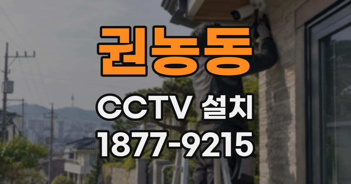 권농동 CCTV 설치