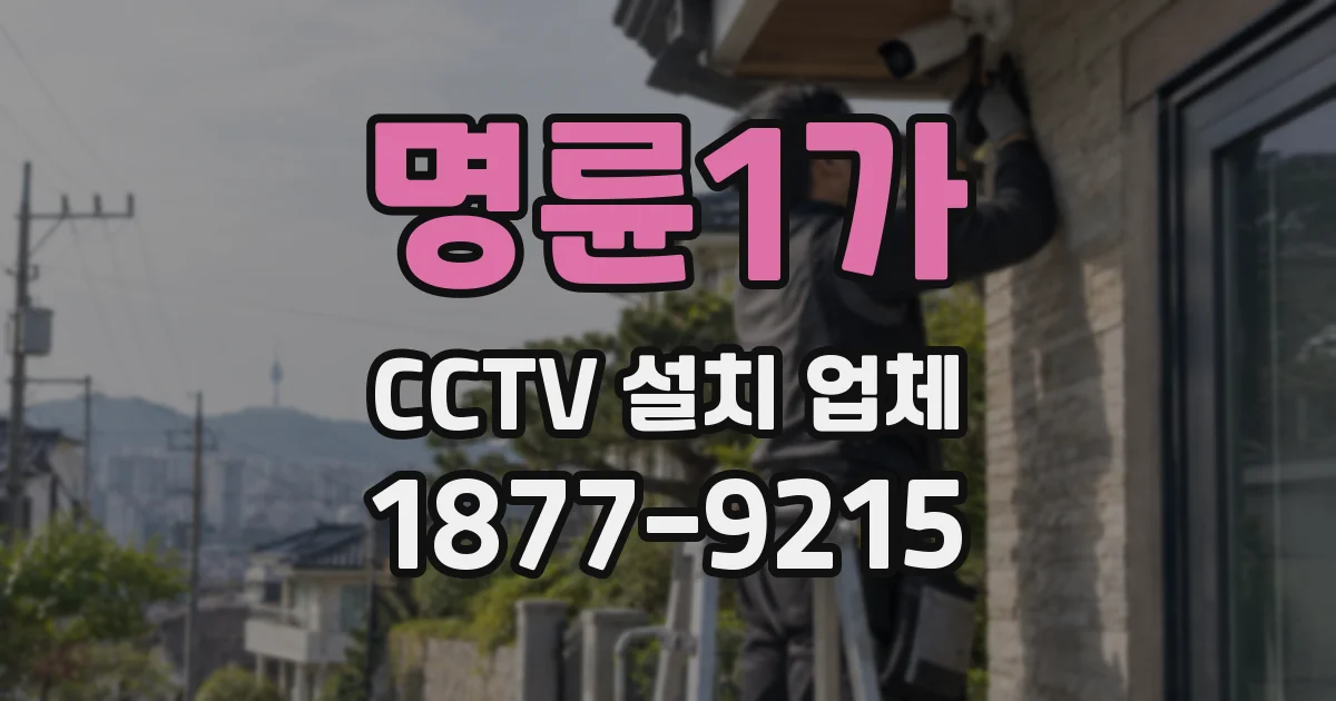 명륜1가 CCTV 설치 업체