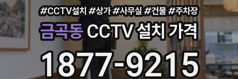 금곡동 CCTV 설치 가격