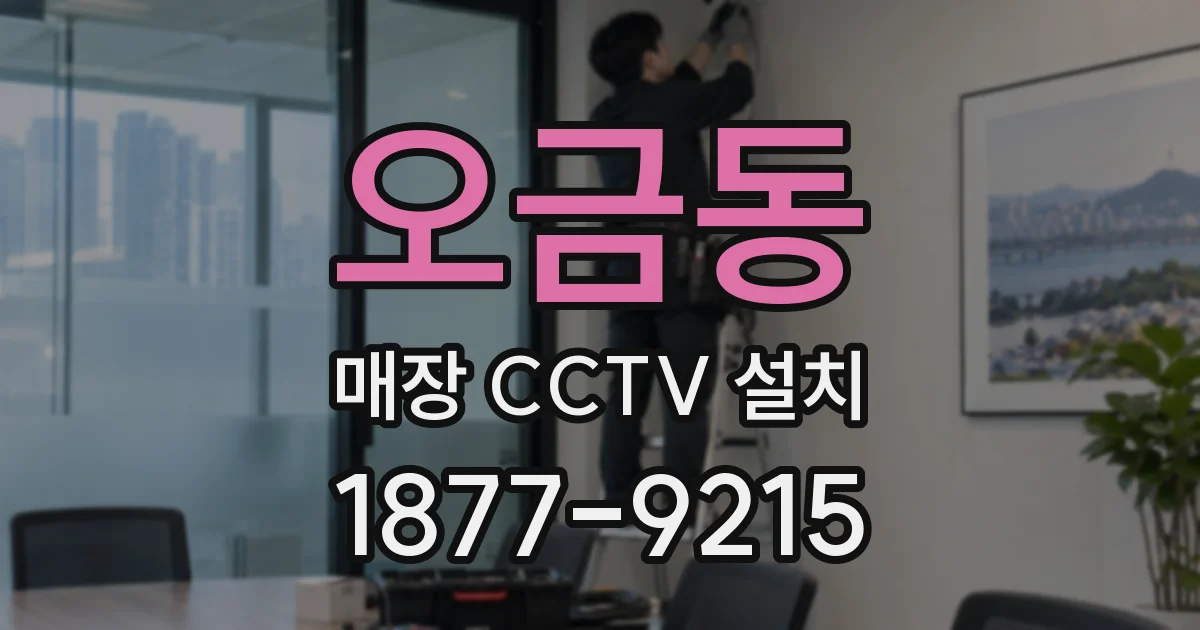 오금동 매장 CCTV 설치