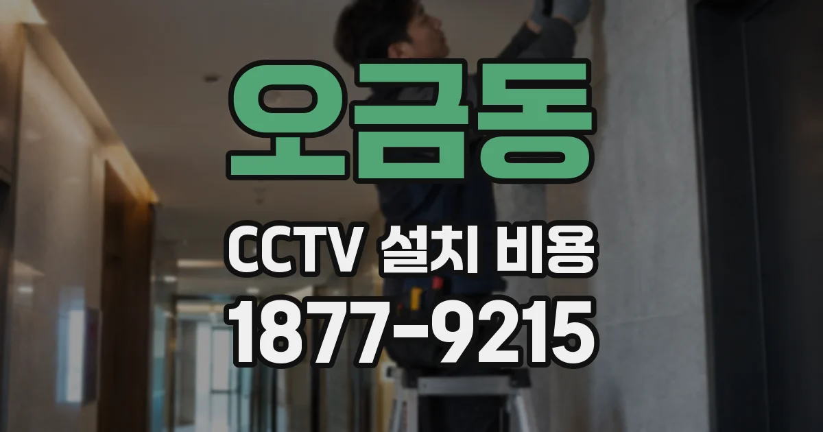 오금동 CCTV 설치 비용