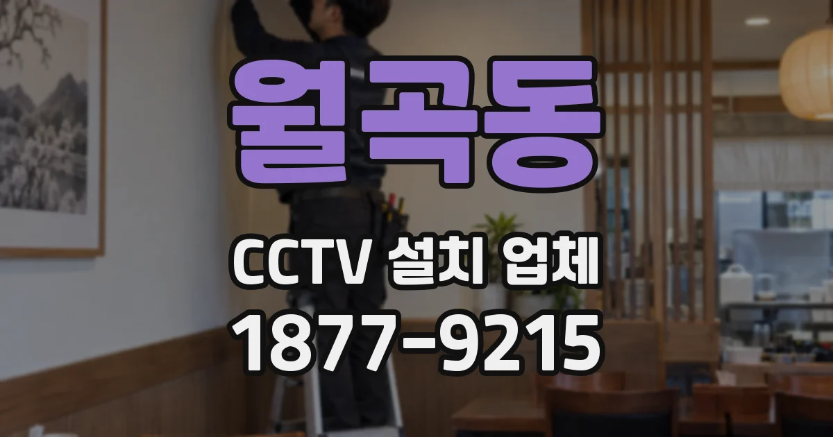 월곡동 CCTV 설치 업체