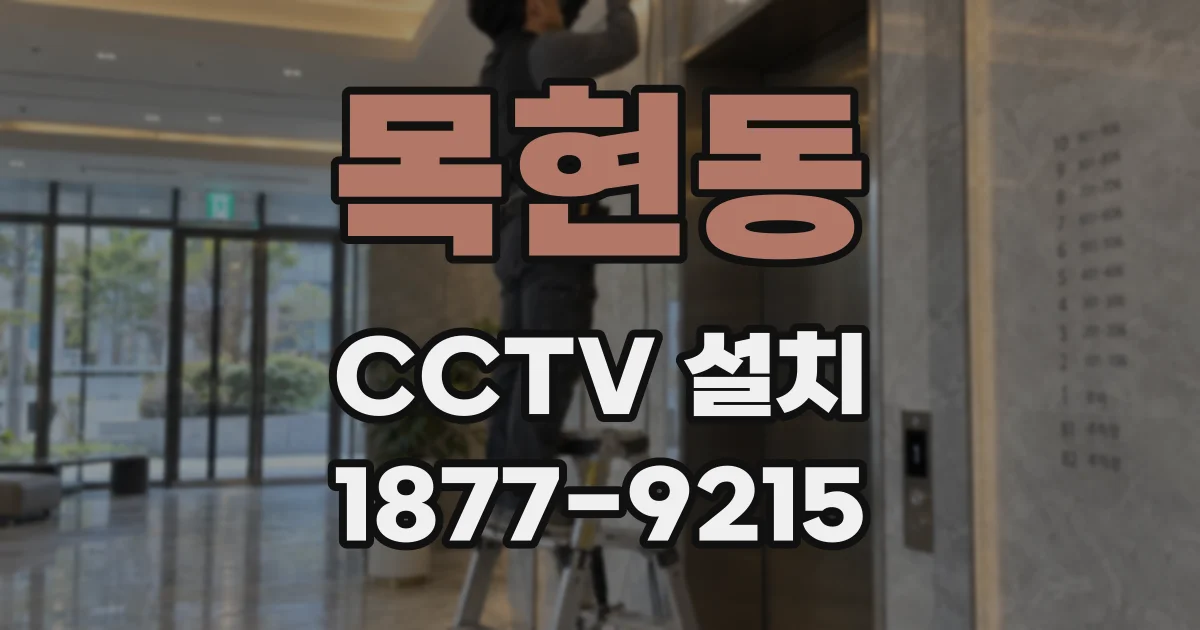 목현동 CCTV 설치