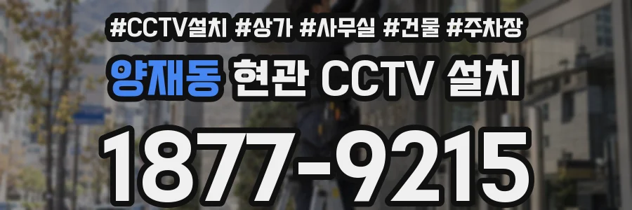 양재동 현관 CCTV 설치