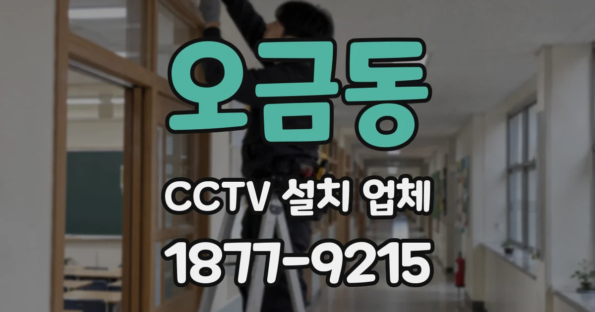 오금동 CCTV 설치 업체