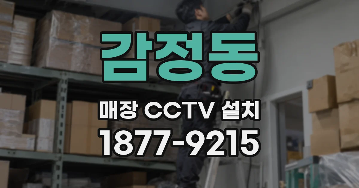 감정동 매장 CCTV 설치