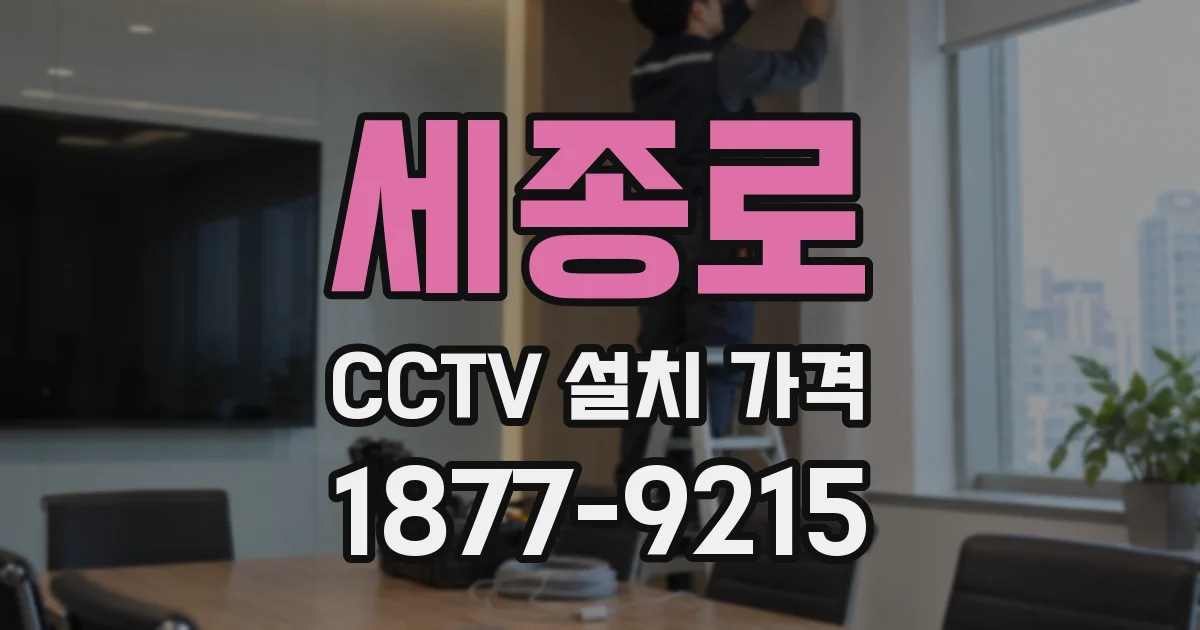 세종로 CCTV 설치 가격