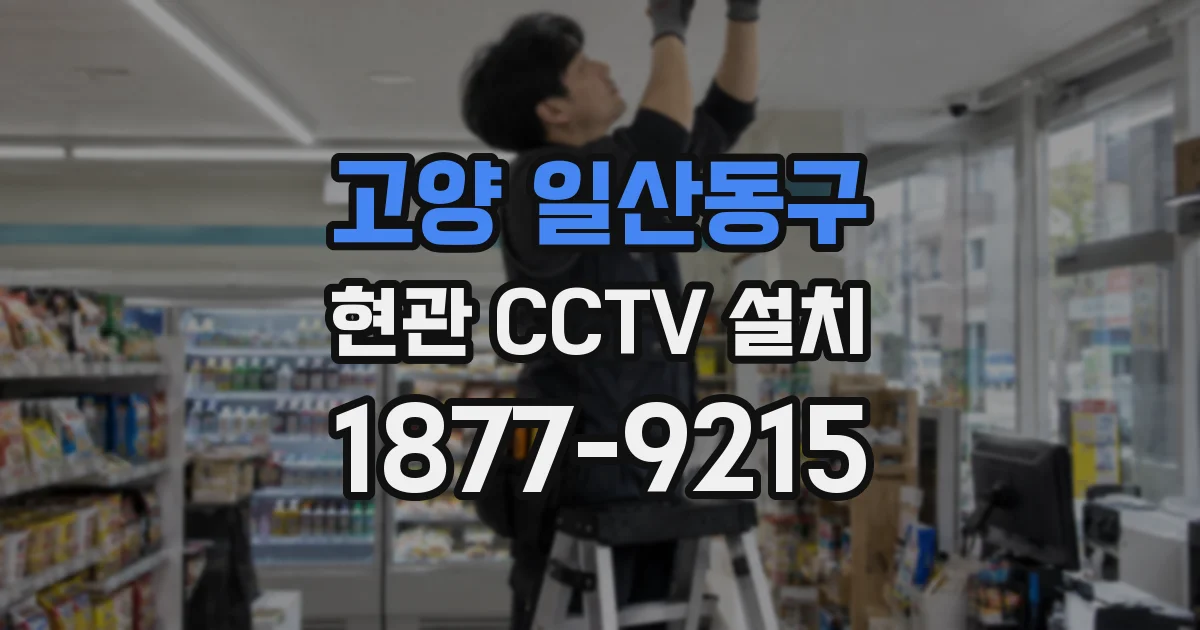 고양 일산동구 현관 CCTV 설치