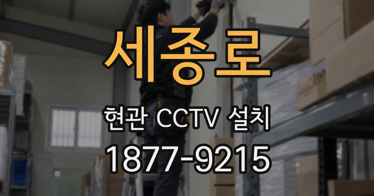 세종로 현관 CCTV 설치