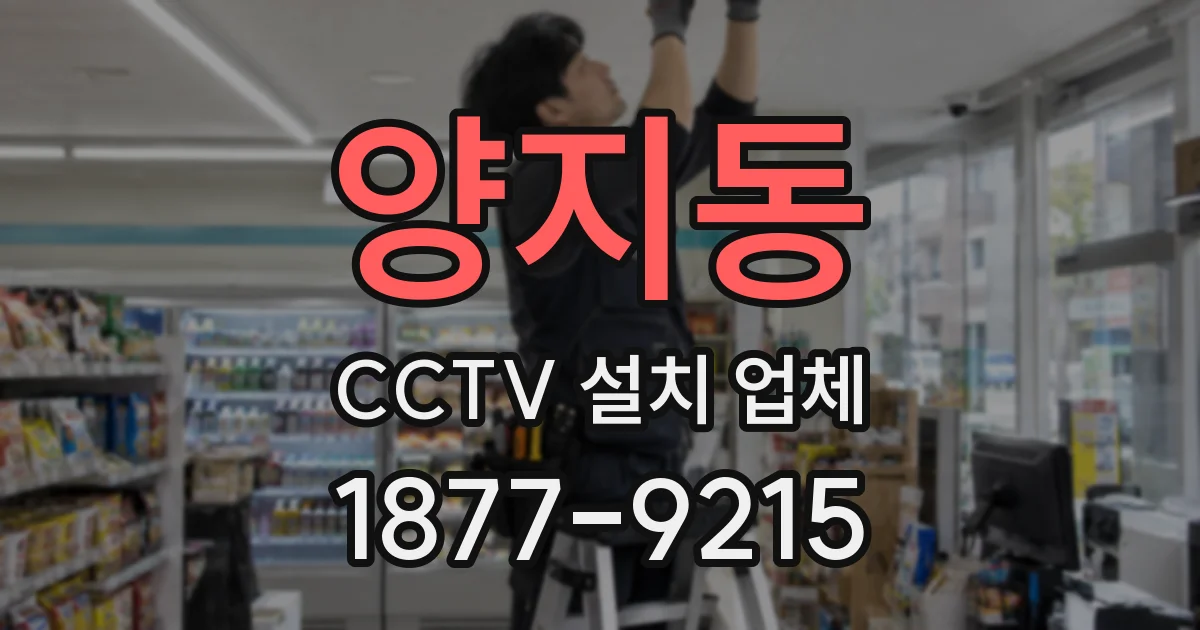 양지동 CCTV 설치 업체