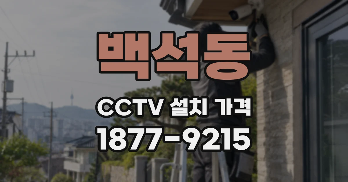 백석동 CCTV 설치 가격