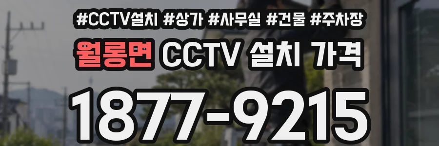 월롱면 CCTV 설치 가격