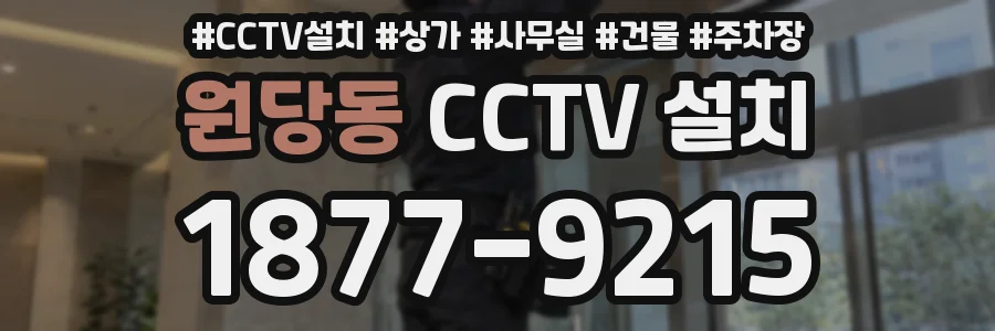 원당동 CCTV 설치