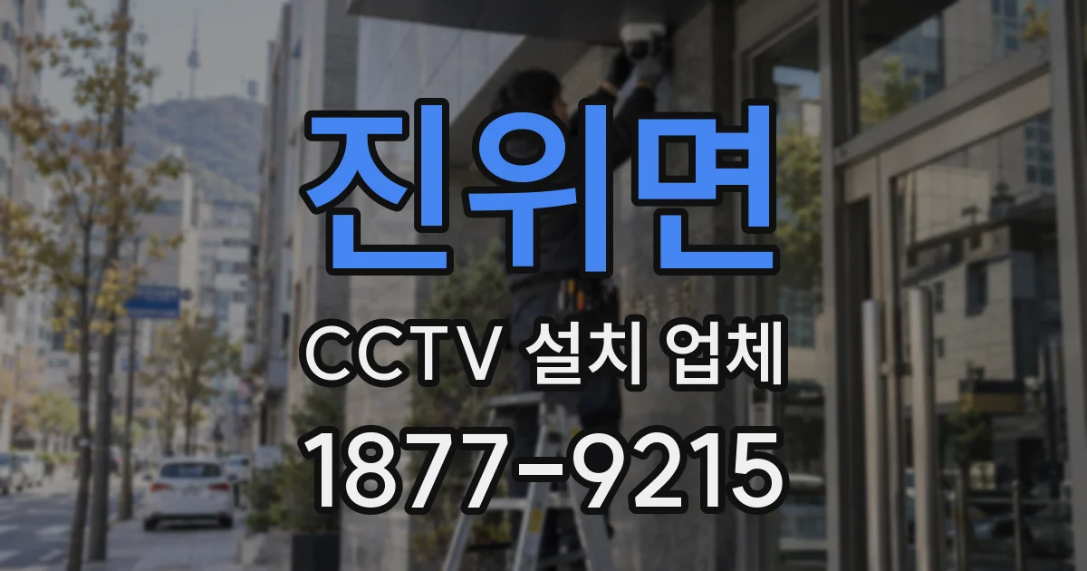 진위면 CCTV 설치 업체
