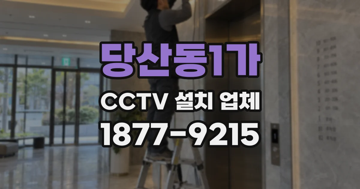 당산동1가 CCTV 설치 업체