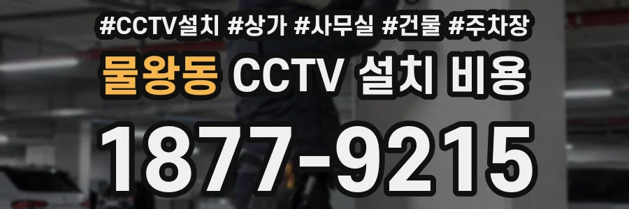 물왕동 CCTV 설치 비용