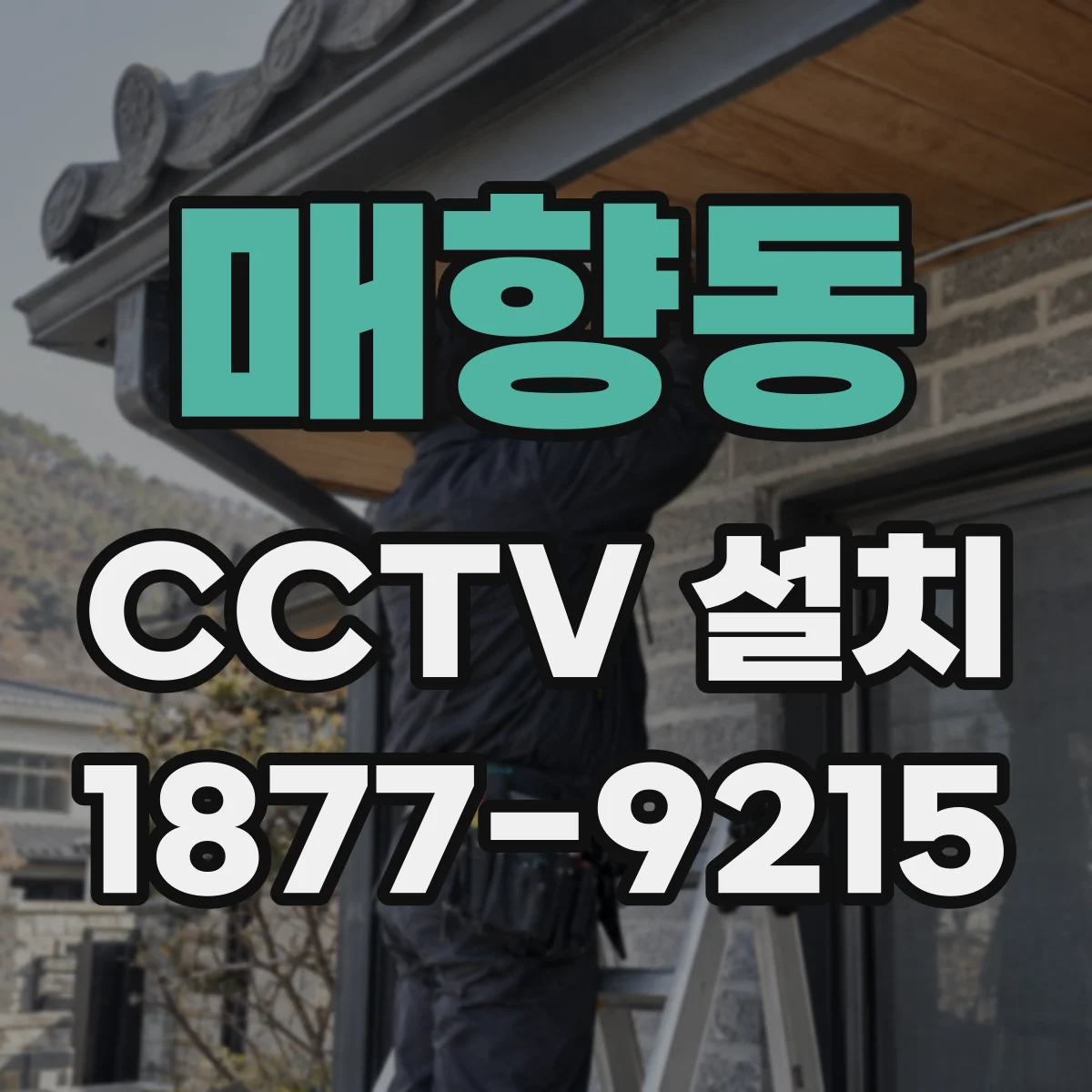 매향동 CCTV 설치