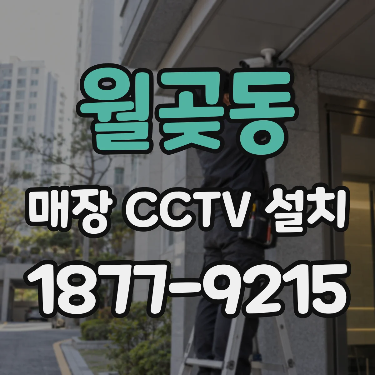 월곶동 매장 CCTV 설치