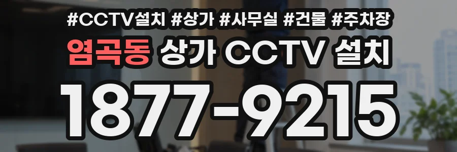 염곡동 상가 CCTV 설치
