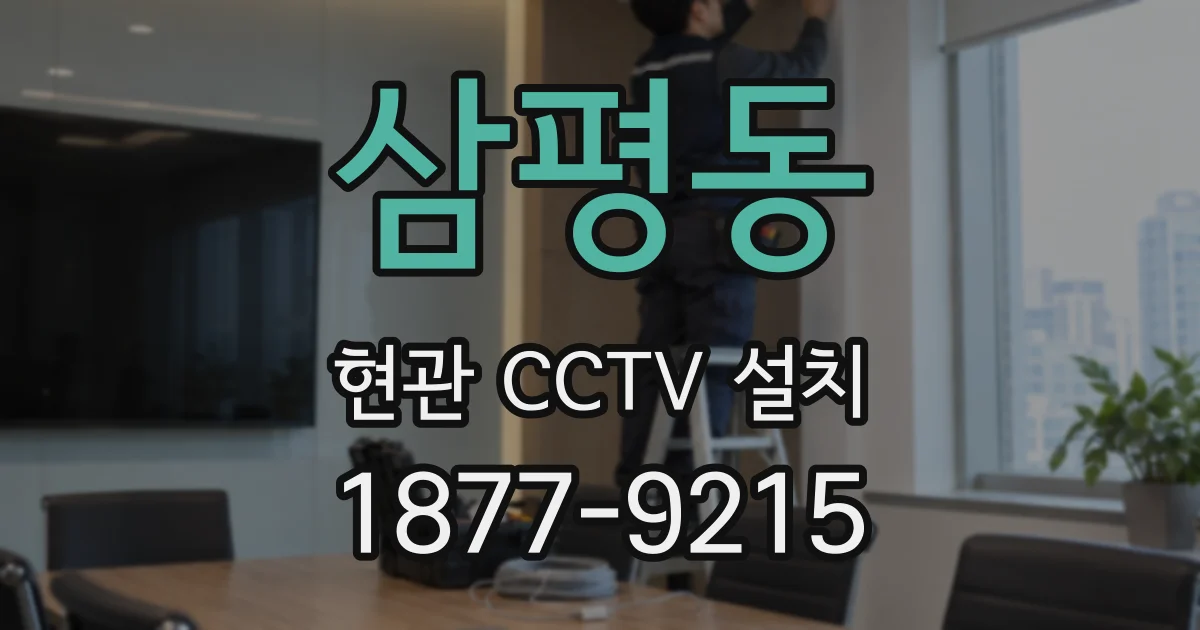 삼평동 현관 CCTV 설치