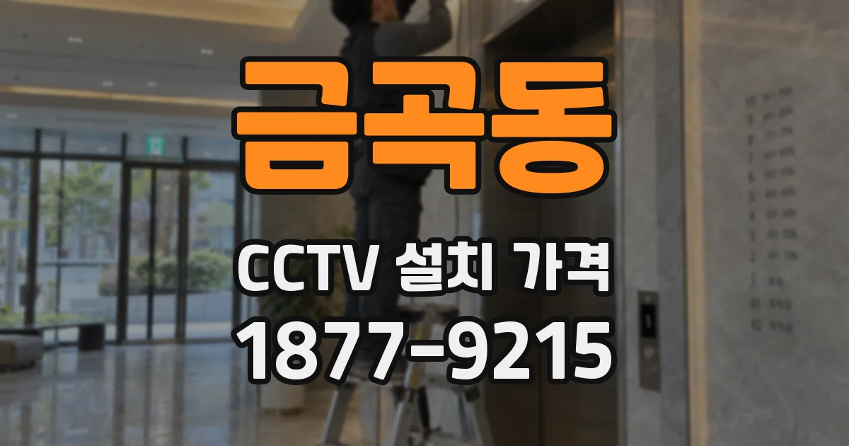 금곡동 CCTV 설치 가격