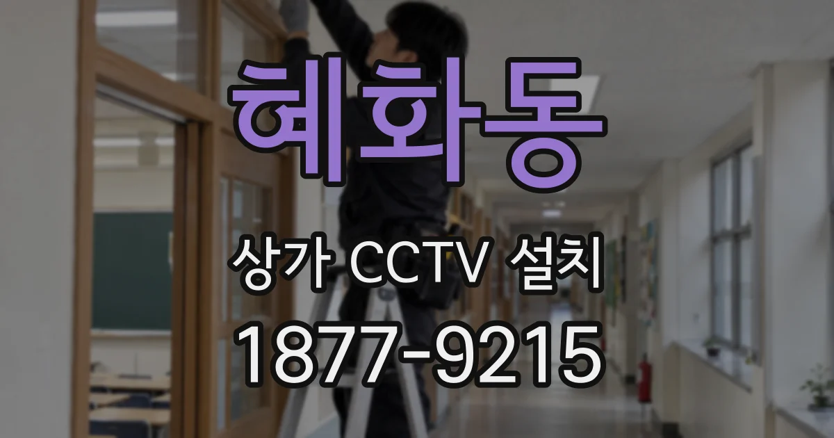 혜화동 상가 CCTV 설치