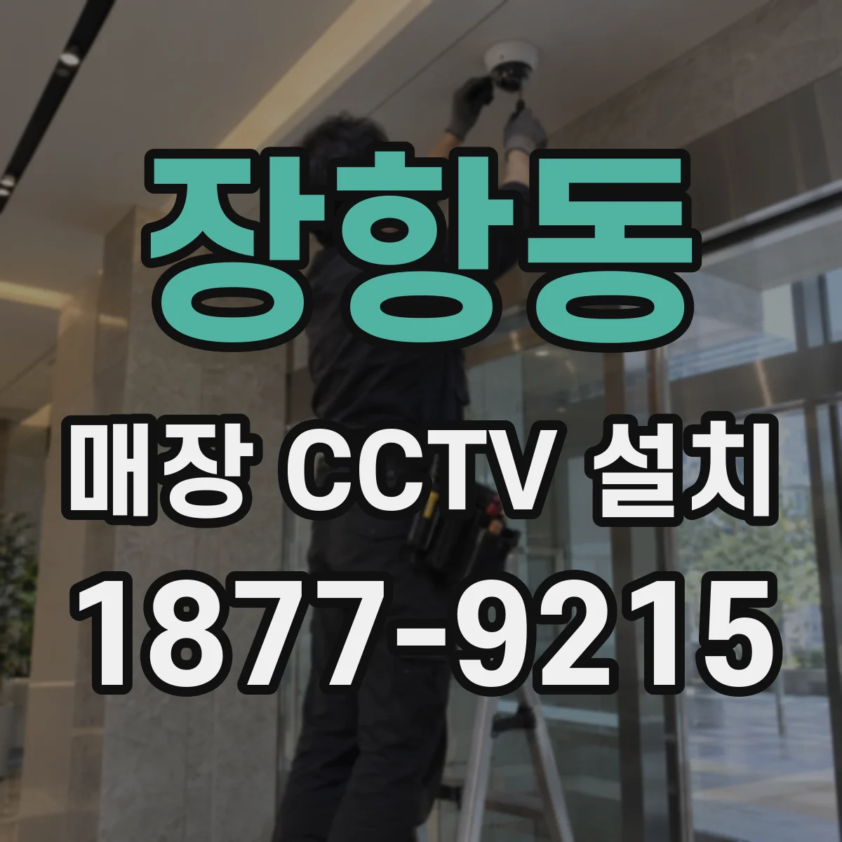 장항동 매장 CCTV 설치