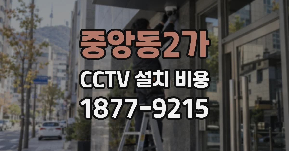 중앙동2가 CCTV 설치 비용