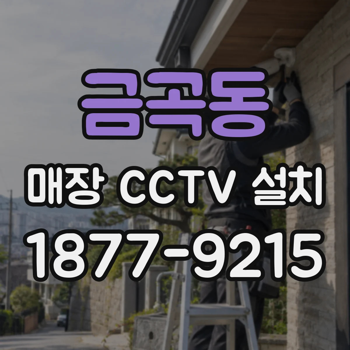 금곡동 매장 CCTV 설치