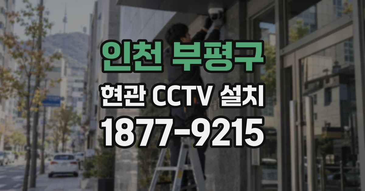 인천 부평구 현관 CCTV 설치