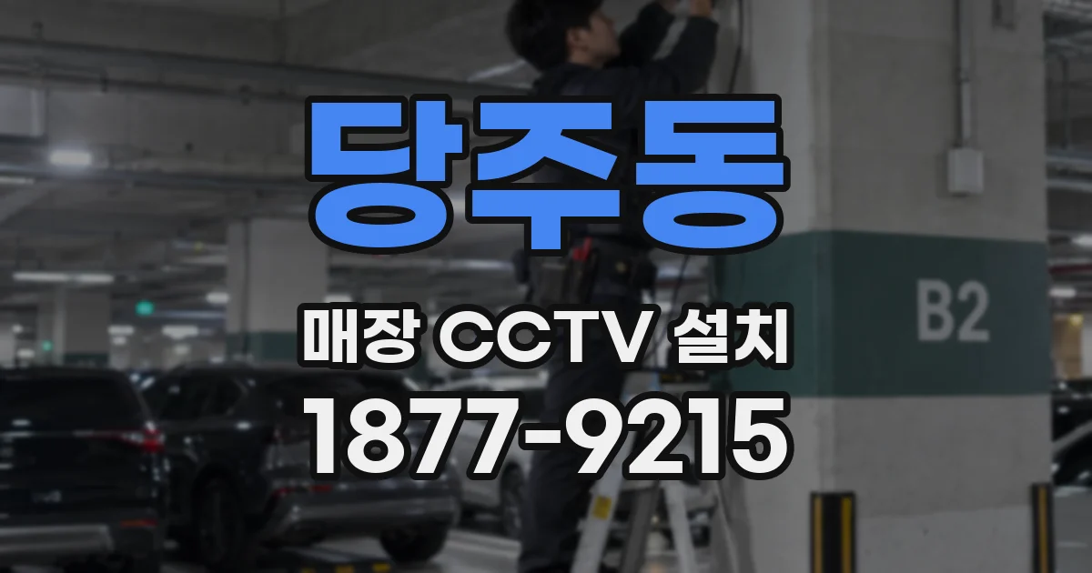 당주동 매장 CCTV 설치
