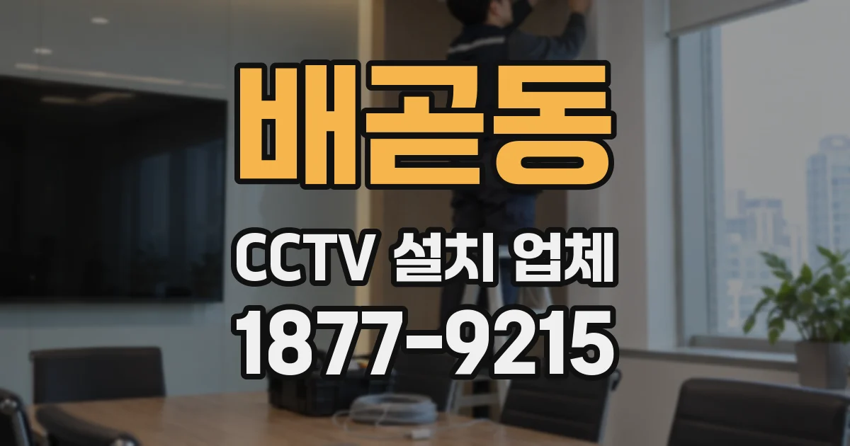 배곧동 CCTV 설치 업체